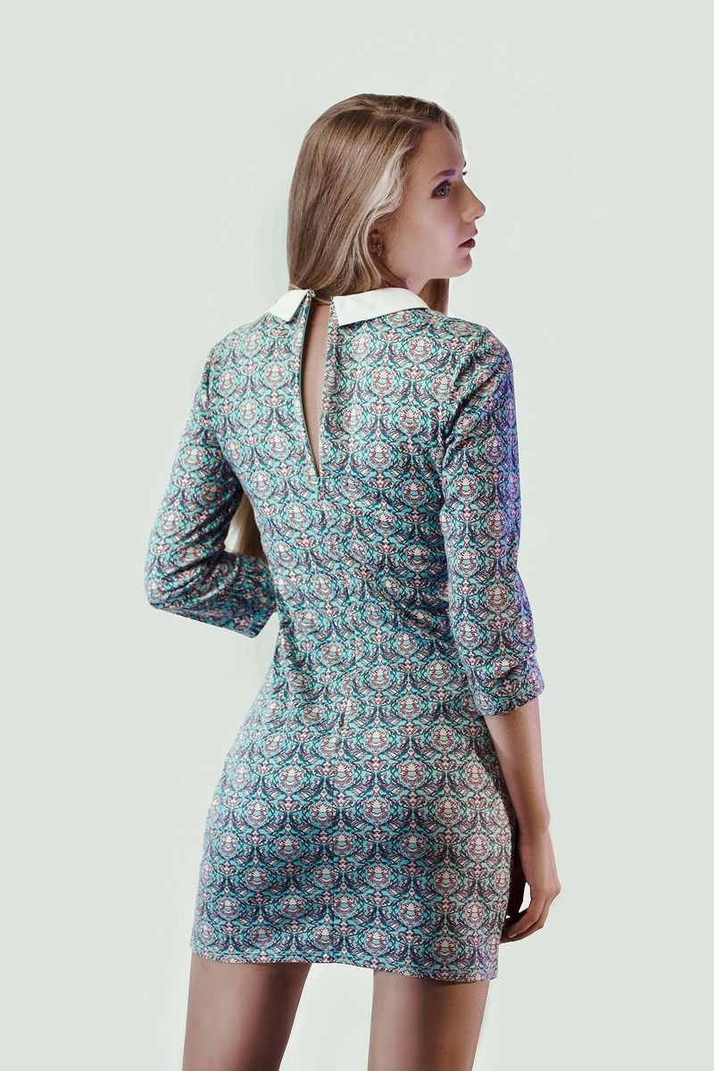 Vienne Printed Dress